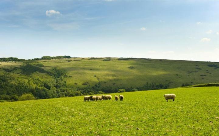 Zeal Farm Bed & Breakfast Dulverton Exterior photo