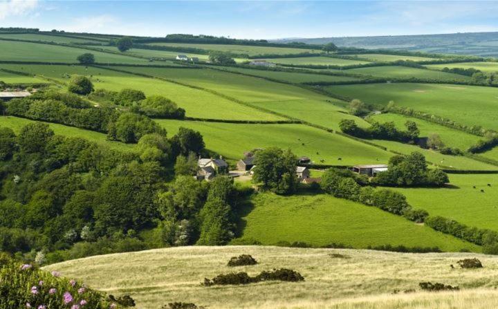 Zeal Farm Bed & Breakfast Dulverton Exterior photo